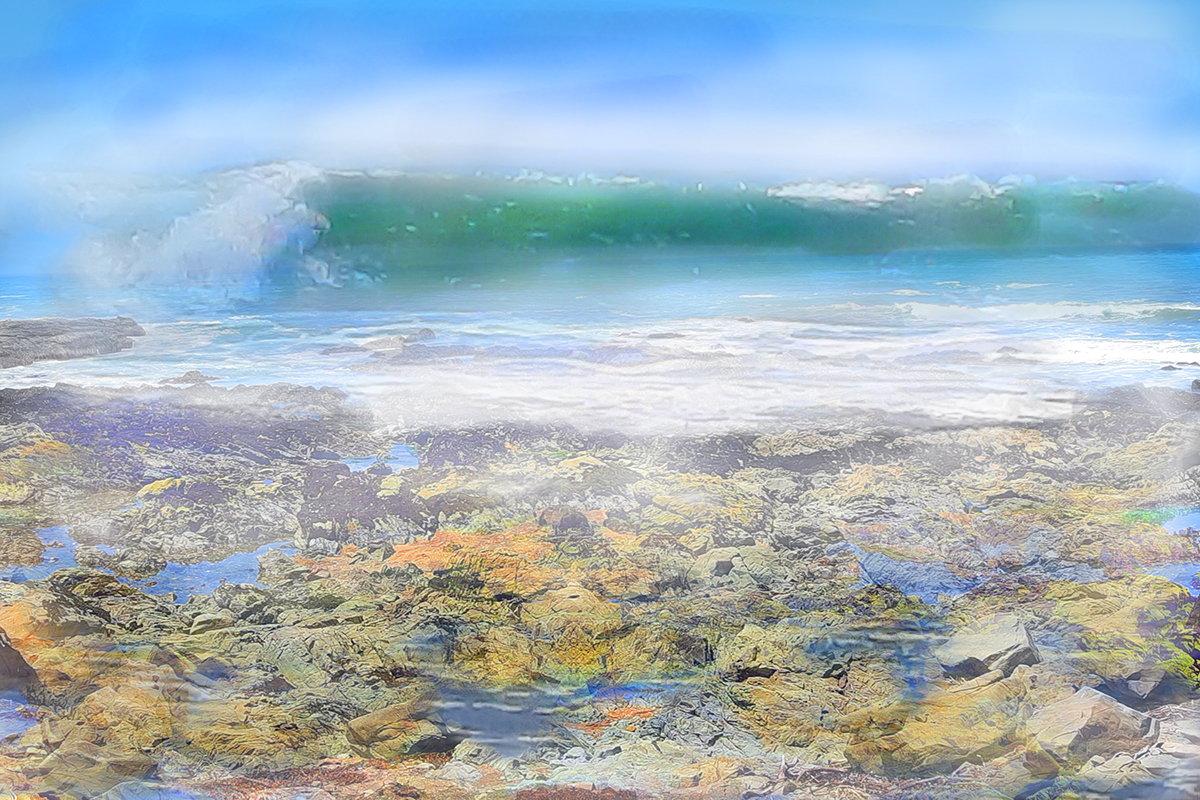 Fog on the Central Coast – R. A. Smoller